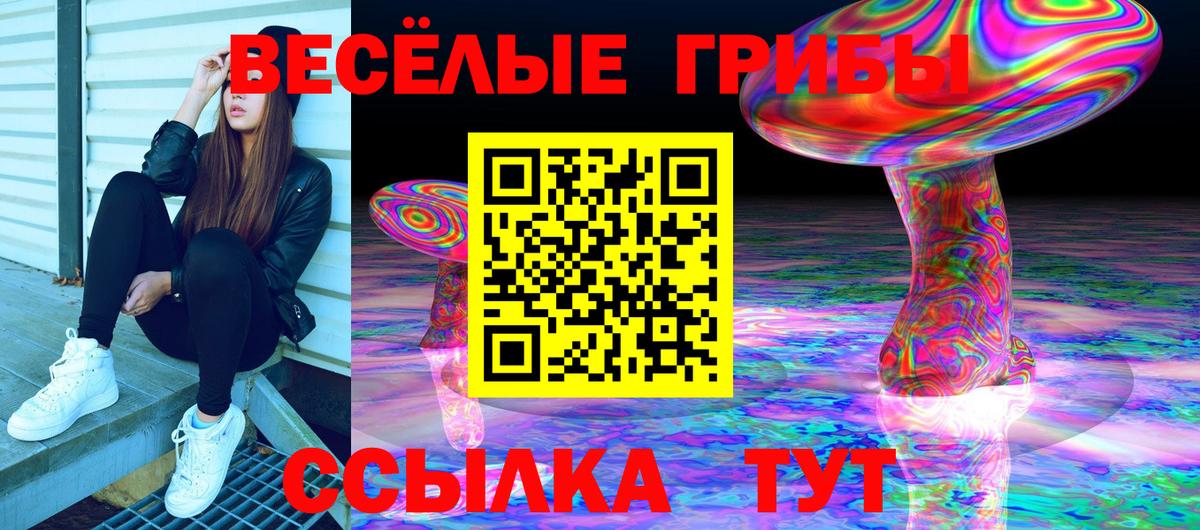 Галлюциногенные грибы мицелий Тутаев