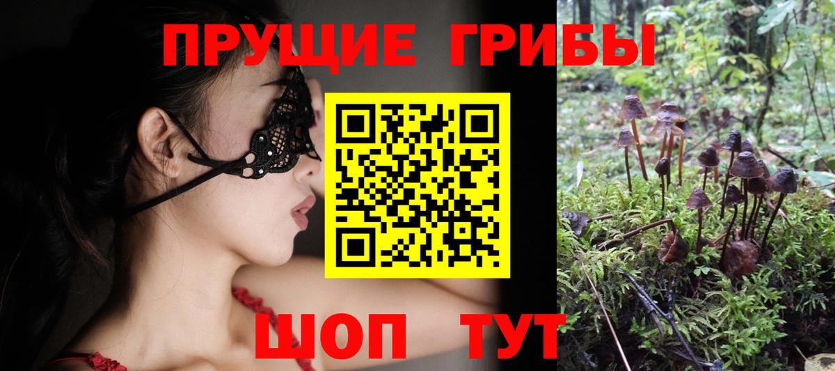 Псилоцибиновые грибы Cubensis  Вход с VPN  Тутаев  Галлюциногенные грибы ЛСД 